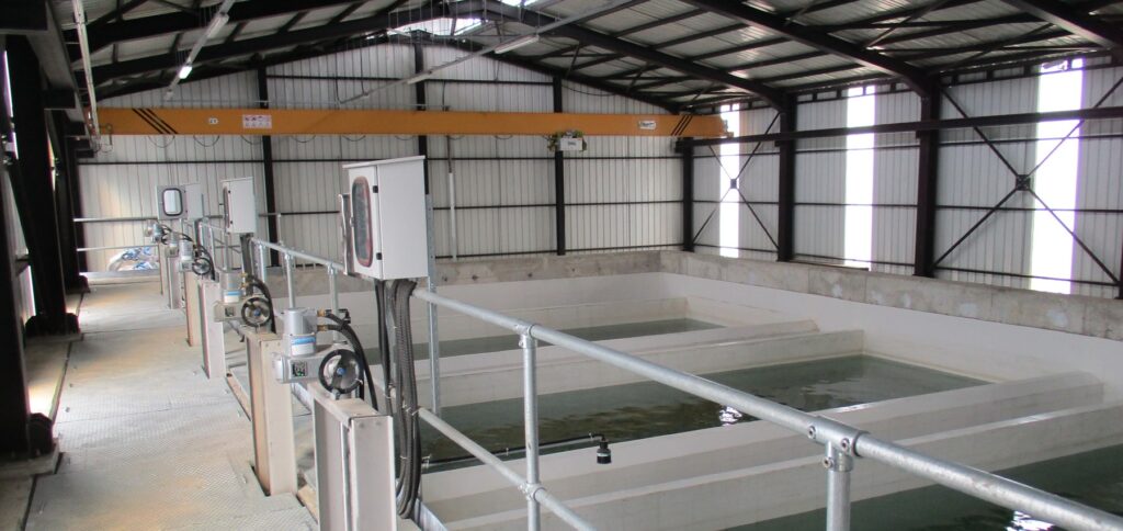 Supervisión Técnica del Proyecto de Agua Potable y Saneamiento de Akçaabat