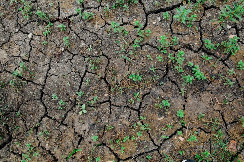 EUROCLIMA LAC & Caribbean Green Deal