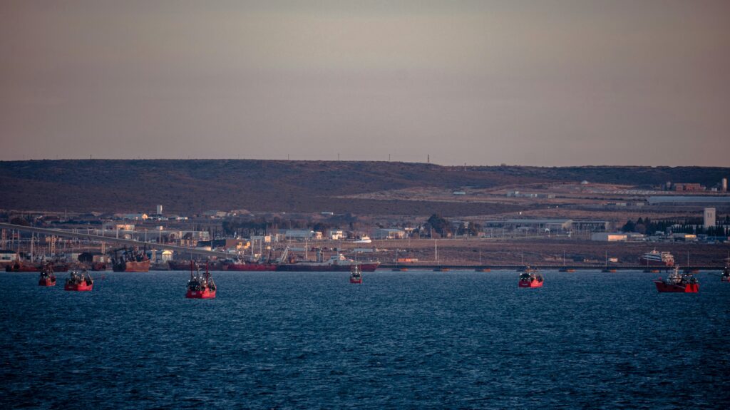 Supervision of the Works for the Reconstruction and Expansion of the Serbian Port of Bogojevo